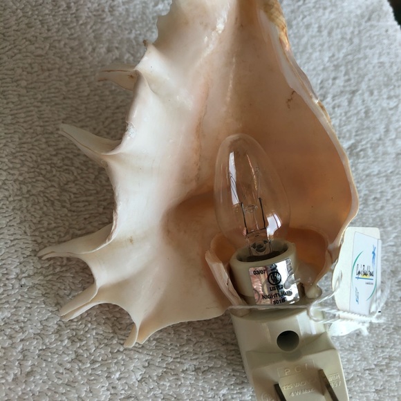 New! Cut LAMBIS seashell NIGHT LIGHT - Picture 4 of 5